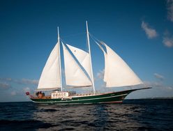 Dream Voyager photo 2