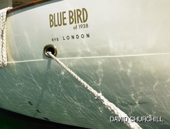Blue Bird of 1938 photo 3