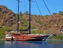 Kaya Guneri Plus photo 2