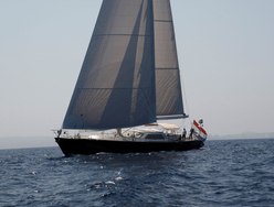 Jersey Pearl photo 3