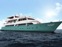 Galapagos Sea Star photo 2