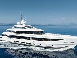 Indigo photo 1