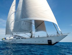 Spirit of the C's photo 1