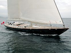 Pituxin VI photo 1