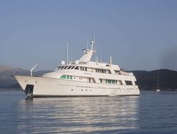 Kokomo Nights photo 2