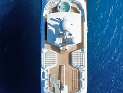 Beluga photo 3