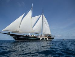 Dream Voyager photo 1