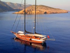 Kaya Guneri Plus photo 1