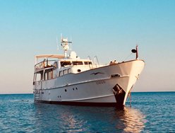 Nina Spirit of the Wind photo 1