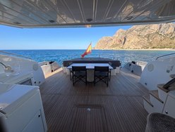 Pelagia photo 3