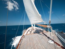 Dream Voyager photo 3