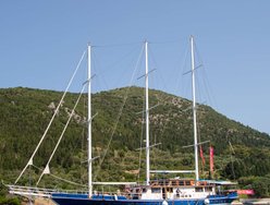 Artemis photo 1