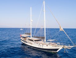 Grand Sailor photo 1