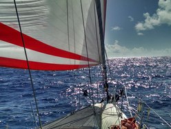 Cap II photo 3