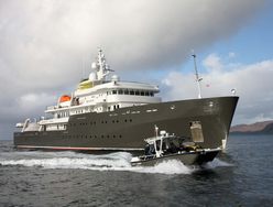 Albatross photo 1