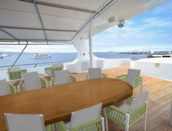 Galapagos Sea Star photo 3