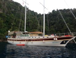 ECE Arina photo 1
