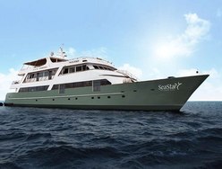 Galapagos Sea Star photo 1