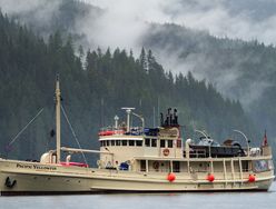 Pacific Yellowfin photo 1