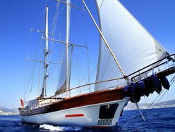 Estrella De Mar photo 2