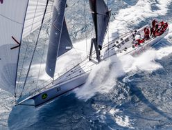 Palm Beach XI photo 1