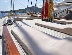 CarpeDiem Coral photo 3