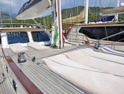 CarpeDiem Coral photo 2