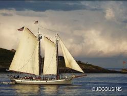 Timberwind photo 1