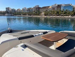 Pelagia photo 2
