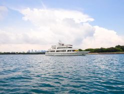 Star Of The Sea photo 1