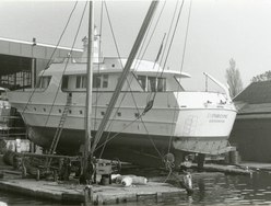 Euphrosyne photo 2