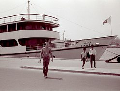 Zabeel photo 1
