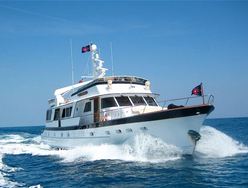 Tupelo Honey photo 1