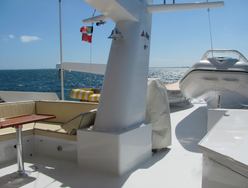 Tupelo Honey photo 2