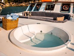 Nautilus photo 3