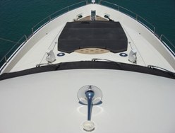 Ti Amo photo 2