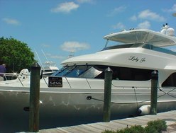 Wandering Star photo 2