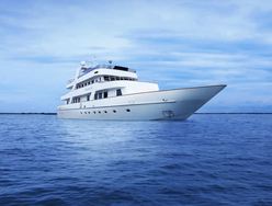 Star Of The Sea photo 2