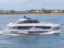 Dock Dock Goose photo 2