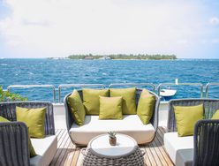 Ark Noble photo 2