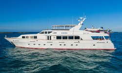 Pursuit yacht charter 