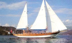 Amra yacht charter 