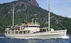 Pacific Yellowfin yacht charter 