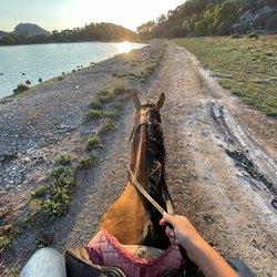 Aponisos Horseback Riding  Photo 3