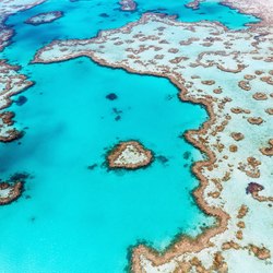 Helicopter ride over Heart Reef  Photo 2