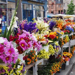Place Des Lices Market Photo 41