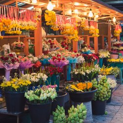 Place Des Lices Market Photo 19