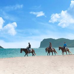 Coconut Bay Beach Resort & Spa Photo 28