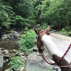 Wilderness ride on horseback Photo 5