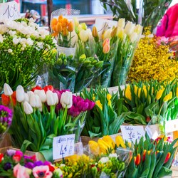 Place Des Lices Market Photo 29
